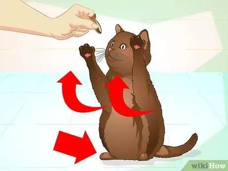 Imagen titulada Teach Your Cat to Do Tricks Step 13