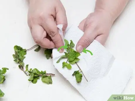 Imagen titulada Get Rid of Acne Using Mint Leaves Step 2