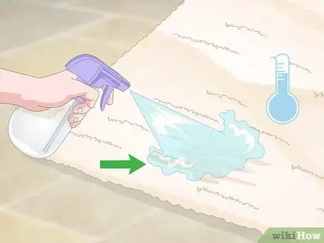 Imagen titulada Remove Tea Stains from Carpet Step 13