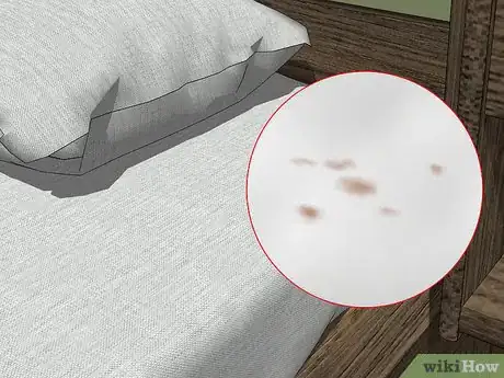 Imagen titulada Identify Bed Bug Bites Step 6