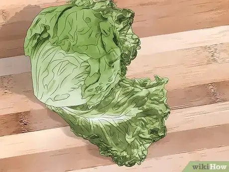 Imagen titulada Tell if Lettuce Has Gone Bad Step 3