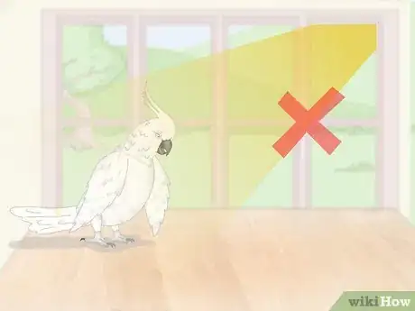 Imagen titulada Deal with an Aggressive Cockatoo Step 8