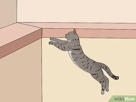 Imagen titulada Identify an Egyptian Mau Step 7