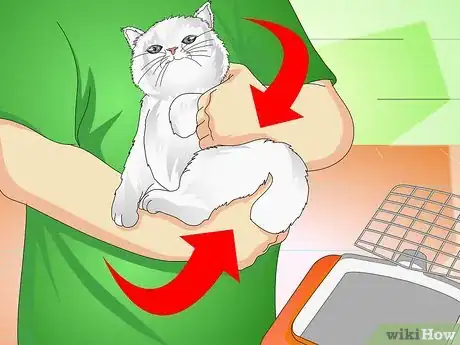 Imagen titulada Get a Cat Into a Pet Carrier Step 9