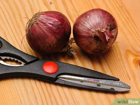 Imagen titulada Store Onions Step 4