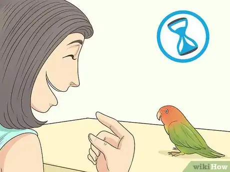 Imagen titulada Bond with a Lovebird Step 7