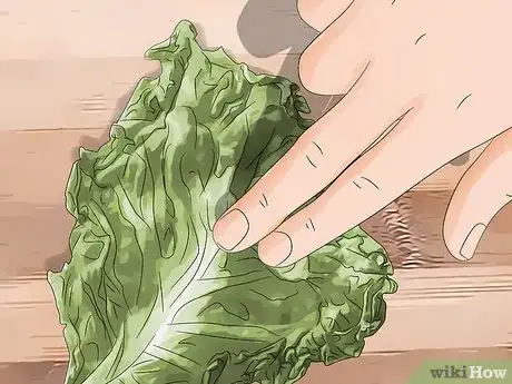 Imagen titulada Tell if Lettuce Has Gone Bad Step 4