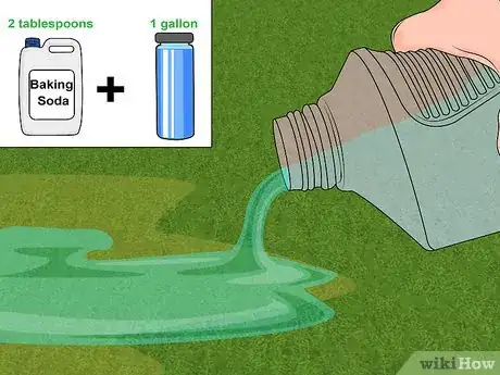 Imagen titulada Repair Spots from Pet Urine in Lawn Grass Step 10