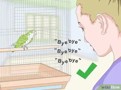 Imagen titulada Teach a Quaker Parrot to Speak Step 3