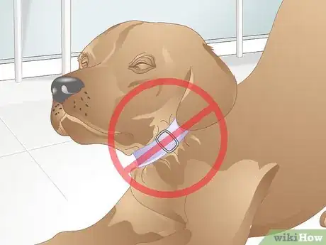 Imagen titulada Make a Dog Collar Step 13