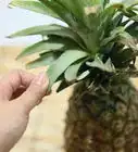 cortar una piña