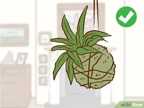 Imagen titulada Make a Kokedama Step 10