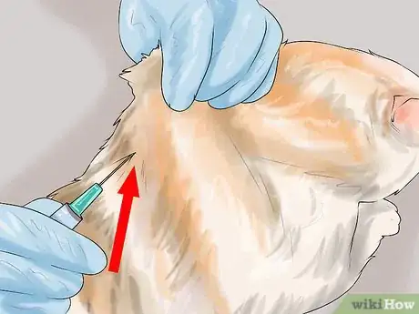 Imagen titulada Give Subcutaneous Fluids to a Cat Step 10