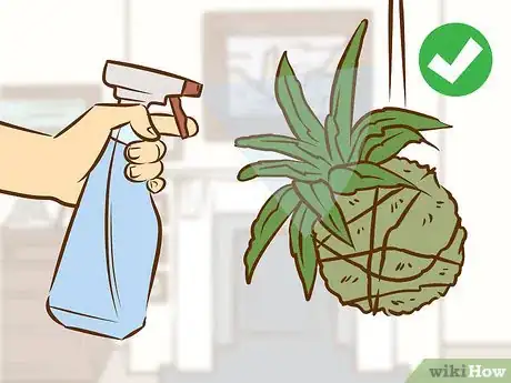 Imagen titulada Make a Kokedama Step 11