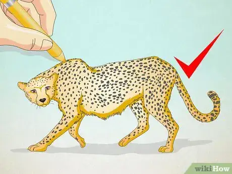 Imagen titulada Draw a Cheetah Step 13