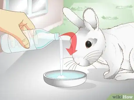 Imagen titulada Care for a Rabbit with GI Stasis Step 13