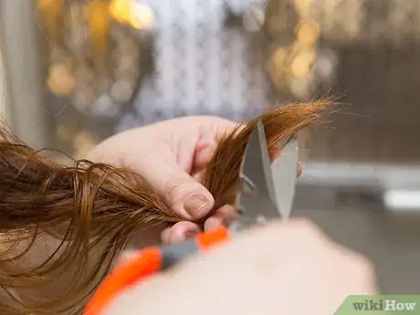 Imagen titulada Start a Hair Care Routine Step 6