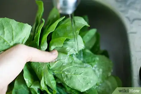 Imagen titulada Add Spinach to Soup Step 2