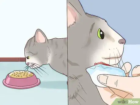 Imagen titulada Treat Feline Acne Step 14