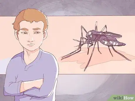 Imagen titulada Differentiate Between Malaria, Dengue, and Chikungunya Step 6