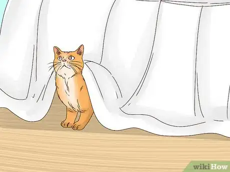 Imagen titulada Get Your Cat to Sleep With You Step 5