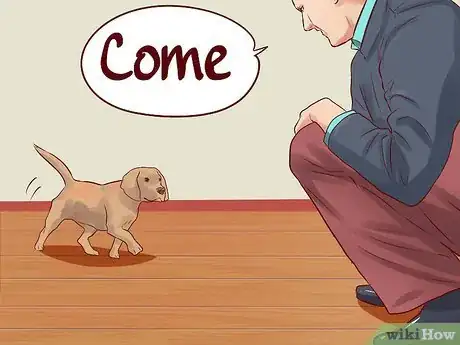 Imagen titulada Teach Your Dog Basic Commands Step 13