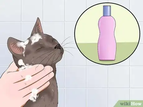 Imagen titulada Bathe Your Cat With a Damp Towel Step 11