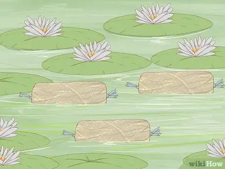 Imagen titulada Clean a Pond Step 3