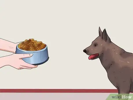 Imagen titulada Get Your Dog to Swallow a Pill Step 3