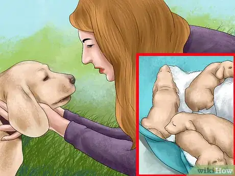 Imagen titulada Bring up a Gentle and Pleasant Dog Step 3
