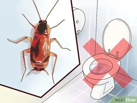 Imagen titulada Identify a Cockroach Step 4