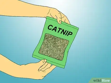 Imagen titulada Make Catnip Spray Step 1