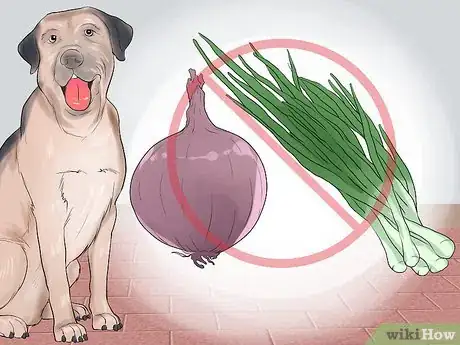 Imagen titulada Avoid Foods Dangerous for Your Dog Step 8