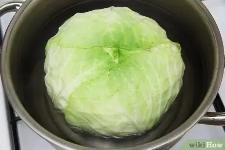 Imagen titulada Make Stuffed Cabbage Step 1