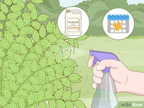 Imagen titulada Get Rid of Poison Ivy Plants Step 9