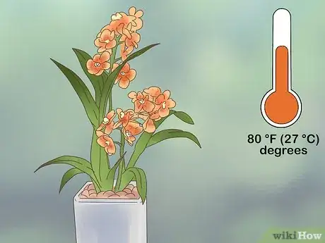 Imagen titulada Grow Vanda Orchids Step 8