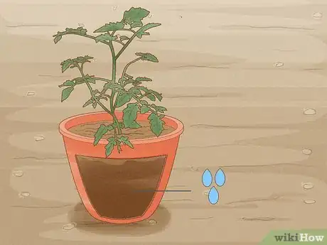 Imagen titulada Determine How Much Water Plants Need Step 8