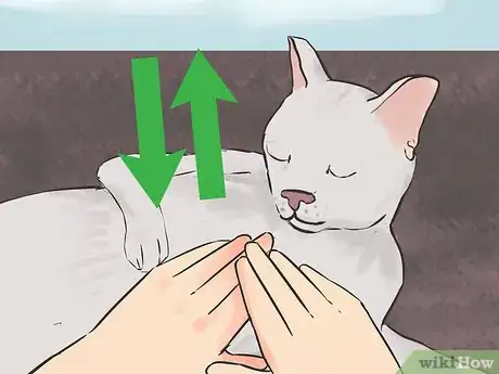 Imagen titulada Tell if Your Cat Is Dead Step 11