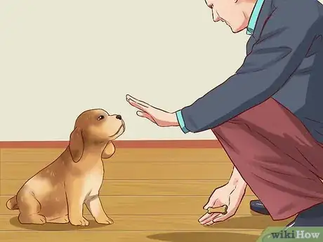 Imagen titulada Teach Your Dog Basic Commands Step 10