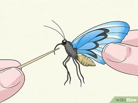 Imagen titulada Make a Butterfly Feeder Step 4