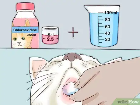 Imagen titulada Treat Feline Acne Step 10