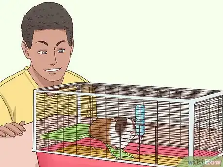 Imagen titulada Tame Your Guinea Pig Step 3