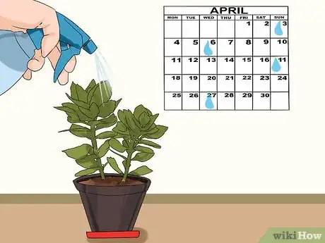 Imagen titulada Grow Kalanchoe Step 10