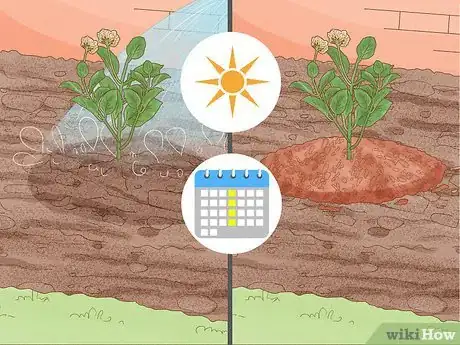 Imagen titulada Grow Lantana Plants Step 11