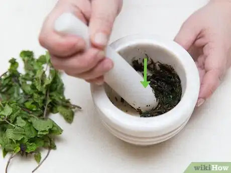 Imagen titulada Get Rid of Acne Using Mint Leaves Step 3