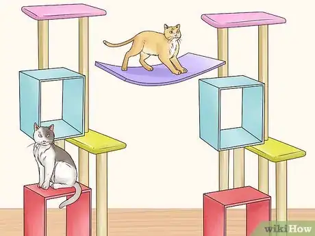 Imagen titulada Prevent Litter Box Aggression Step 2