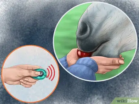 Imagen titulada Teach Your Horse to Lie Down Step 3