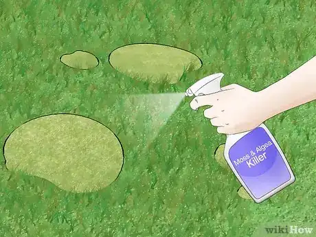 Imagen titulada Get Rid of Moss in Your Lawn Step 4