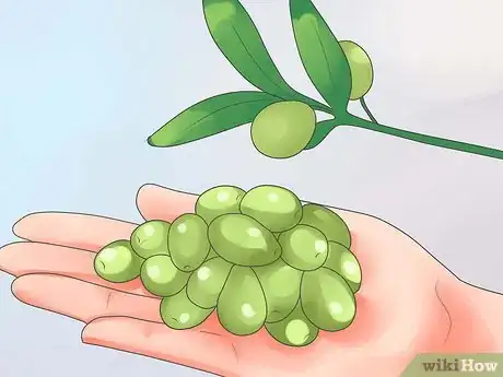 Imagen titulada Cure Olives Step 10