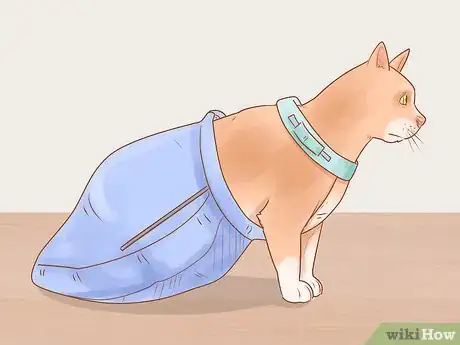 Imagen titulada Help a Cat That Is Dragging Its Rear Legs Step 12